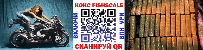 Кокаин FishScale  Емва 